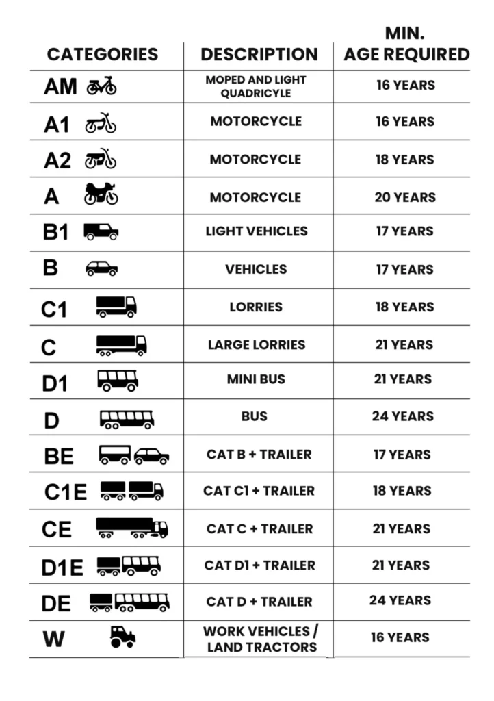 irish driving license