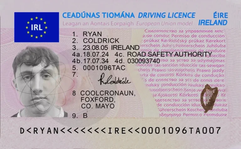 irish driving license
